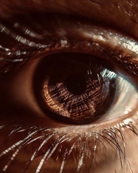 Brown Eyes Aesthetic, Iris Eye, Pretty Brown Eyes, Grunge Pictures, Eye Close Up, Brown Eyed Girls, Artist Aesthetic, Dark Brown Eyes, Eye Photography