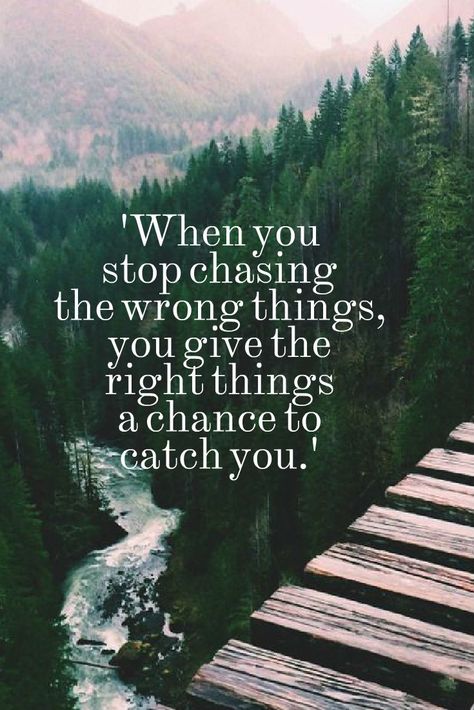 Beautiful quote, very true. When you stop chasing the . wrong things you give the right things a chance to catch you #quote #adventure #wanderlust Gather Quotes, Stop Chasing, Beautiful Quote, Mountain Hiking, Nature Travel, Beautiful Quotes, Travel Photography, Life Quotes, Spirituality