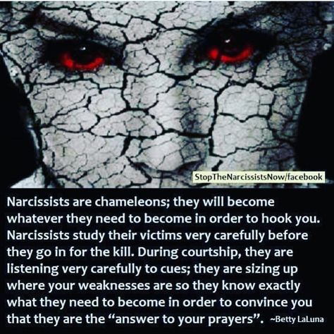 Narcissistic Men, Emotional Vampire, Narcissistic People, Tell My Story, The Horrors, Chameleons, Narcissistic Behavior, Personality Disorder, Feelings And Emotions