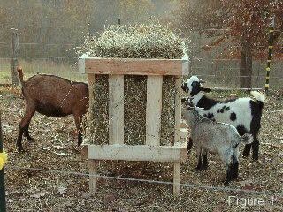 Diy Goat Hay Feeder, Diy Hay Feeder, Goat Hay Feeder, Hay Feeder For Horses, Bale Of Hay, Goat Feeder, Nails Cheetah, Small Goat, Goat Care