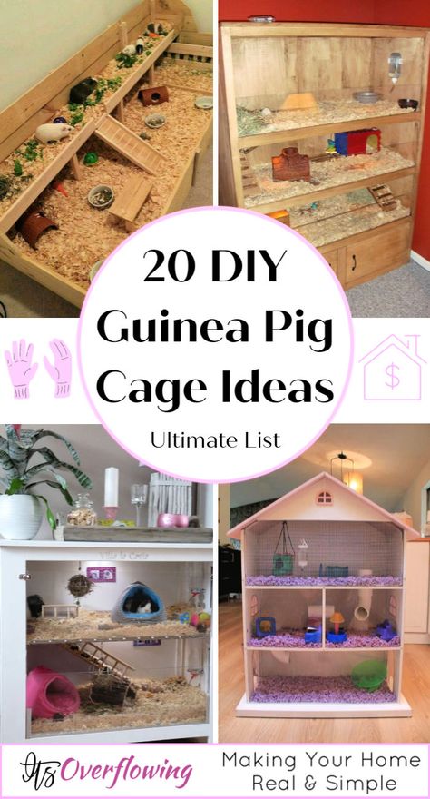 Guinea Pig Cage Idea Diy Guinea Pig Toys, Guinea Pig Cage Ideas, Indoor Guinea Pig Cage, Cavy Cage, Pig Habitat, Guine Pig, 9gag Amusant, Diy Guinea Pig Cage, Guinea Pig Diy