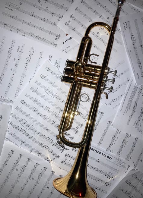 Jazz Core Aesthetic, Jazz Trumpet Aesthetic, Jazz Musician Aesthetic, Jazz Band Aesthetic, Trumpet Pictures, Richard Core, Trumpet Aesthetic, Peppermint Fizz, Instrument Aesthetic