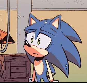 I Just Want Him, Im So Done, So Done, Sonic Funny, Sonic 3, Blue Hedgehog, Sonic Franchise, Hedgehog Art, Sonic And Shadow