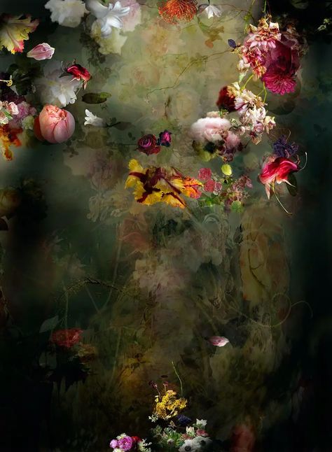 Isabelle Menin, Solstice Winter, Motifs Art Nouveau, Contemporary Photographers, Dark Light, Floral Photography, Nature Flowers, Winter Solstice, Arte Floral