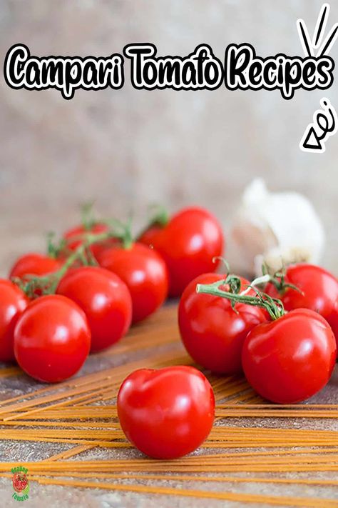 Campari Tomatoes Recipes, Recipes With Campari Tomatoes, Roasted Campari Tomatoes, Campari Tomato Sauce, Compari Tomatoes Recipes, Campari Tomato Recipes, Tomato Recipes Healthy, Tomato Sandwich Recipes, Campari Tomatoes