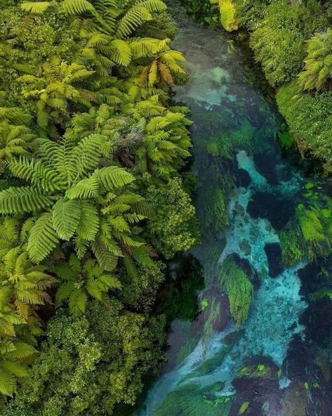 Traveling Aotearoa 🇳🇿 on Instagram: “Grateful for this beautiful Nature that surrounds us!💚 Awesome shot by @thejoshshaw . #northisland #nzmustdo #tropical #newzealand…” Hedge Garden Design, Hedge Garden, Travel New Zealand, Landscaping Inspiration, Green Inspiration, Forest Illustration, Mood And Tone, Blue Spring, Pure Water