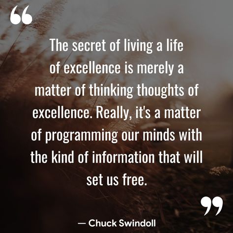 The secret of living a life of excellence is merely a matter of thinking thoughts of excellence. Really, it's a matter of programming our minds with the kind of information that will set us free. — Chuck Swindoll  (Christian Quotes - Motivation — com.christianquotestoinspire.bibleverses.motivation)  📖	🌅	🕊️	💫	✝️	✨	🙏	🍞	📿	🕯️	🎼	❤️ #Achievement #Excellence #Life #ChuckSwindoll Chuck Swindoll, Thinking Thoughts, Christian Motivational Quotes, Family Devotions, Christian Quotes, Programming, The Secret, Matter, Mindfulness