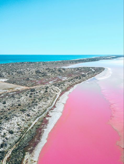 Hutt Lagoon Australia, Travelling Goals, Hutt Lagoon, Aries April, Western Australia Road Trip, Australia Perth, Beautiful Australia, River Camp, Australian Road Trip