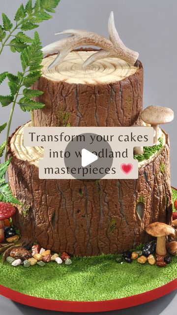 Tree Bark Cake Tutorial, Forest Cake Woodland, Tree Bark Cake, Bark Cake, Woodland Theme Cake, Tree Stump Cake, Slice Cake, Woodland Cake, Tree Slice