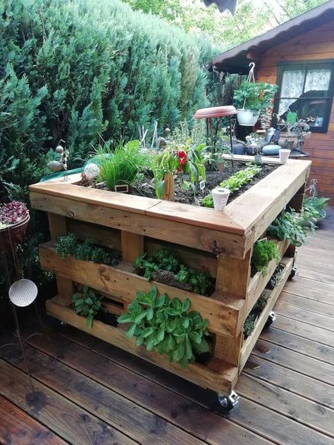 40 Spectacular Recycled Pallet Garden Ideas Potager Palettes, Pallet Projects Garden, Vegetable Garden Raised Beds, Jardim Diy, Thriving Garden, Veg Garden, Pallet Garden, Pallets Garden, Have Inspiration