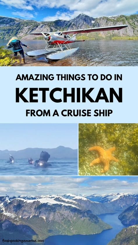 alaska cruise. best things to do in alaska from a cruise ship. best alaska excursions. alaska cruise port. ketchikan ak. Alaska Excursions, Alaska Cruise Excursions, Alaska Cruise Ports, Alaska Cruise Tips, Tongass National Forest, Ketchikan Alaska, Cruise Ports, Princess Cruise Ships, Cruise Excursions