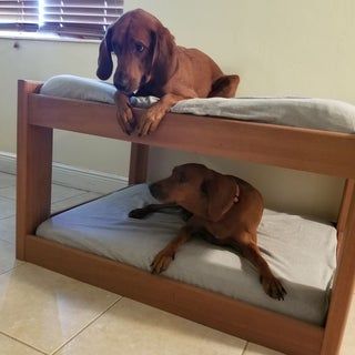 Dog Bunk Beds, Pallet Dog Beds, Cute Dog Beds, Dog House Diy, Diy Dog Bed, Dog Bed Furniture, Cool Dog Beds, Dog Rooms, Dog Furniture