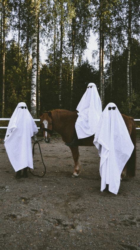 Halloween ghost photoshoot ideas Halloween Photoshoot With Horse, Ghost Photoshoot With Dog, Dog Ghost Photoshoot, Halloween Horse Photoshoot, Halloween Ghost Photoshoot, Ghost Photoshoot Ideas, Ghost Jokes, Halloween Horse, Ghost Photoshoot