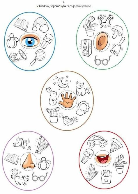 Body Parts Preschool Activities, Senses Preschool, Human Body Activities, Body Parts Preschool, Senses Activities, English Activities For Kids, Preschool Activities Toddler, Baby Learning Activities, Creative Activities For Kids