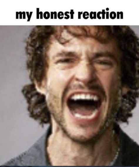 Hannibal Meme, My Honest Reaction, Hannibal Lecter Series, Will Graham Hannibal, Hannibal Tv Series, Honest Reaction, Hannibal Series, Nbc Hannibal, So Silly