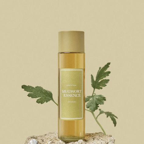 🌿 Experience the enchantment of Ganghwa Mugwort: Korea's hidden gem. Our Mugwort Tea Tree Essence is a luxurious blend that captures the essence of tradition and nature.   ✨Calming aroma and immerse yourself in the rich history of this magical skincare secret. Discover the power of Ganghwa Mugwort today! 🌿✨   #dodoskin #skincaressence #KoreaTeaTreeEssence #SkincareSecrets #skincareaddict #skincareregime #skincaretips #koreantoner #koreanskincare Mugwort Tea, Korean Toner, Hidden Gem, Korean Skincare, Tea Tree, Skin Care Tips, Essence, Skin Care, Tea