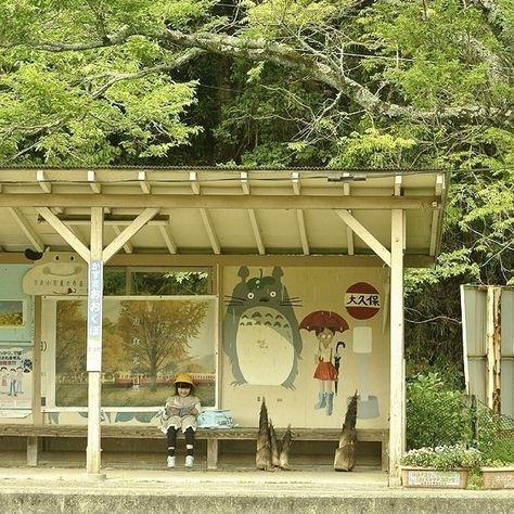 My Neighbor Totoro Bus Stop, Totoro Bus Stop, Studio Ghibli My Neighbor Totoro, Ghibli My Neighbor Totoro, Studio Ghibli Background, Night Scenery, Japan Aesthetic, Aesthetic Japan, Japanese Aesthetic