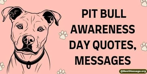 Pit Bull Awareness Day Rescue Quotes, Quotes For Instagram Captions, 2024 Quotes, Pitbull Rescue, Quotes Messages, Quotes For Instagram, Wishes Messages, The Pit, Instagram Captions