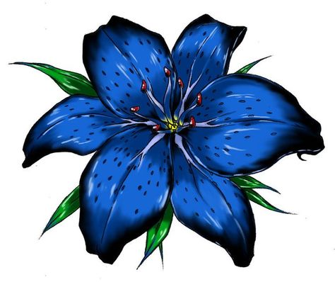 Blue Tiger Lily Tattoo | Tiger Lily by Raikoh101 Tiger Lily Drawing, Blue Tiger Lily, Larkspur Flower Tattoos, Tiger Lily Tattoo, Lilly Flower Tattoo, Lily Tattoo Meaning, Tropical Flower Tattoos, Lily Drawing, Blue Flower Tattoos