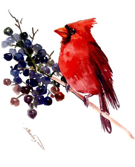 Buy Cardinal Bird, Watercolor by Suren Nersisyan on Artfinder. Discover thousands of other original paintings, prints, sculptures and photography from independent artists. Complementary Color Scheme, Painting Themes, Cardinal Birds Art, Cardinal Watercolor, Suren Nersisyan, Cardinal Painting, Female Cardinal, Christmas Birds, Paintings Tutorials