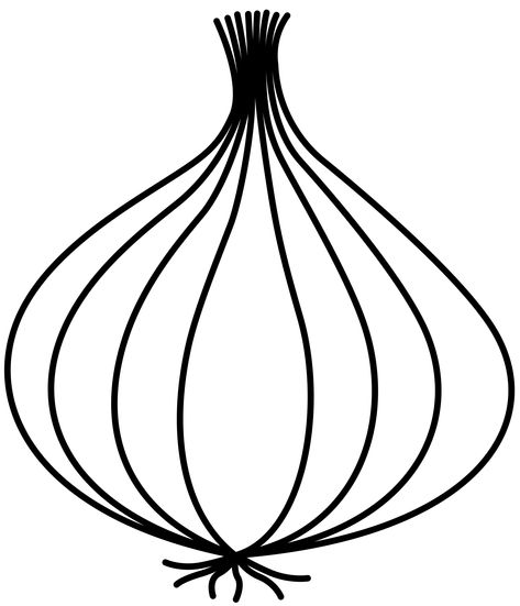 Onion Clipart, Garlic Drawing, Onion Drawing, Leaves Vector, Beauty Illustration, Clipart Black And White, Outline Drawings, Cartoon Drawings, Drawing Sketches