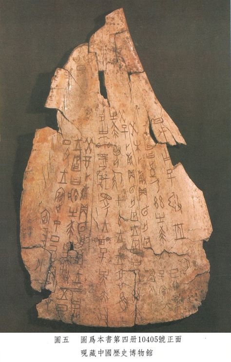 Oracle Bones, Ancient Asia, Colorado Boulder, University Of Colorado Boulder, University Of Colorado, East Asian, China Art, Ancient Artifacts, Historical Artifacts