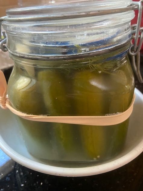 Homemade Pickles, Full or Half Sour – Kosher From Jerusalem Homemade Sour Pickles, Sour Pickles Homemade Easy, Full Sour Pickle Recipe, Sour Pickles Homemade, Sour Dill Pickle Recipe, Half Sour Pickle Recipe, Sour Pickle Recipe, Pickles Homemade Easy, Fermentation Station