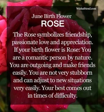 Birth Month Flower : June: Rose June Gemini, June Birth Flower, Gemini Girl, Gemini Quotes, Flower Meanings, Gemini Facts, Language Of Flowers, Month Flowers, Flower Rose