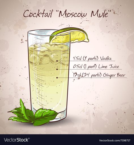 Cocktail Moscow Mule, Tropical Drink Recipes, Moscow Mule Cocktail, Cocktail Illustration, Cocktail List, Refreshing Drinks Recipes, Cocktail Drinks Recipes, Mocktail Recipe, Alcohol Drink Recipes