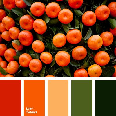 ◾Tangerine  Color ◾ Bright Orange, Dark Green, Green Shades, Olive Green, Orange, Red-Orange ◾{Choice Of Color For Interior Paint & Design - 2016} Juicy Color Palette, Kitchen Palette, In Color Balance, Color Palette Ideas, Dark Woods, Orange Color Palettes, Orange Grove, Color Composition, Tangerine Color