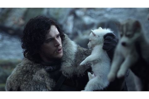 John Snow And Ghost, Jon And Ghost, Jon Snow And Ghost, Jon Snow Aesthetic, George Rr Martin Books, Game Of Thrones Wolves, Lord Snow, Period Jokes, Jon Snow And Daenerys