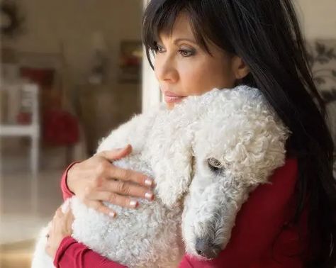 20 Reasons Why You Should Get Rid of Your Poodle Right Now | Page 3 of 4 | PetPress Poodle Doodles, Poodle Haircut, Poodle Dogs, Poodle Cuts, Puppy Cut, Poodle Grooming, Tea Cup Poodle, Dog Haircuts, French Poodles