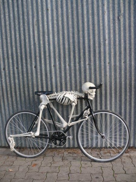 I Want To Ride My Bicycle, Custom Bicycle, Bicycle Art, A Skeleton, Custom Bike, Bicycle Design, Bike Art, Bike Design, Tricycle