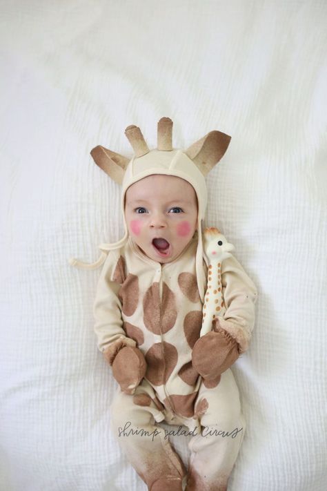 Baby Giraffe Costume, Lion Costume Diy, Diy Girls Costumes, Sophie The Giraffe, Tutu Top, Baby Halloween Costume, Giraffe Costume, Newborn Halloween Costumes, Newborn Halloween