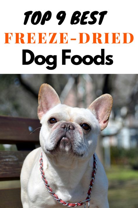 In recent years, freeze-dried dog food has become increasingly popular. This type of dog food is made by drying raw foods like meat and organs at a low temperature. The dog food is then sealed in airtight packaging to prevent it from spoiling. As a pet parent, you know that proper nutrition is key to keeping your four-legged family member happy and healthy. Freeze Dried Raw Dog Food, Freeze Dried Dog Food Recipe, Best Dry Dog Food, Freeze Dried Dog Food, Raw Dog Food, Dog Foods, Frozen Dog, Dog Food Brands, Raw Foods