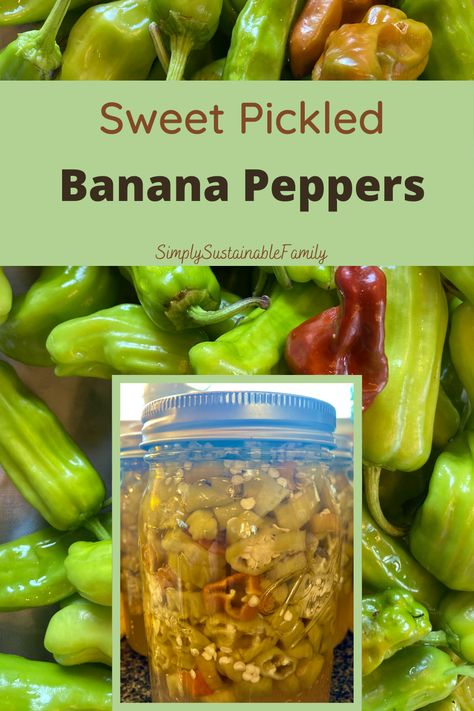 Just 4 ingredients in these delicious Sweet Pickled Banana Peppers. You can also either refrigerate them or water bath can them to make them shelf stable. #bananapeppers #preservingpeppers #canningpeppers Canning Sweet Pickles, Sweet Banana Peppers, Canning Peppers, Homestead Cooking, Dehydrating Food Storage, Pickled Banana Peppers, Preserving Recipes, Dehydrating Food, Easy Canning