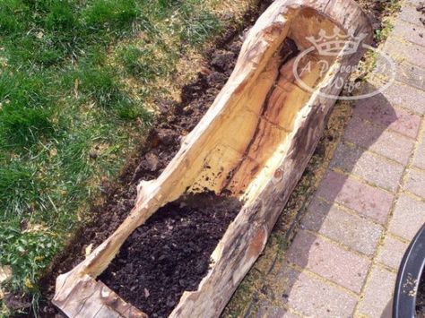 How to Make a Beautiful DIY Log Garden Planter Tree Log Planter, Wood Log Planter, Hollow Log Planter, Log Flower Planter, How To Hollow Out A Log, Log With Flowers, How To Hollow Out A Tree Stump Planters, Log Planters, Log Garden