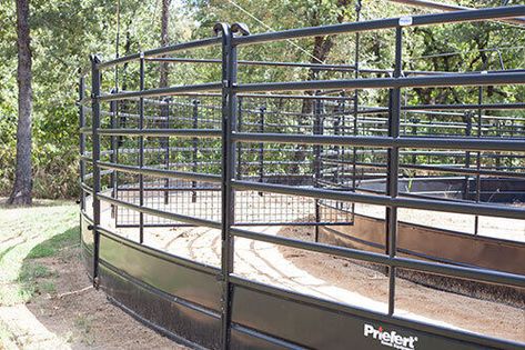 Priefert Horse Walkers | Panel Walkers Covered Riding Arena, Horse Walker, Riding Arena, Mini Horses, Earth Moving Equipment, Round Pen, Riding Arenas, Mini Horse, Water Hose