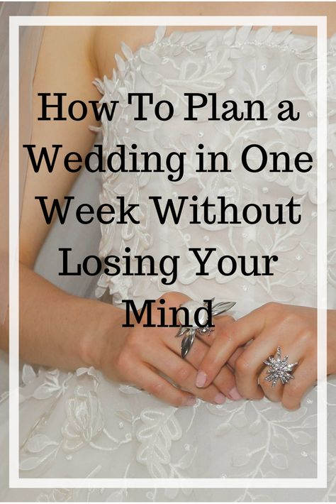 Planning a last minute wedding? See how one couple planned a wedding in one week. Losing Your Mind, Diy Wedding Planning, Easy Wedding Planning, Last Minute Wedding, Plan A Wedding, Dream Destination Wedding, Wedding Planning Guide, Lose Your Mind, Wedding Planning Checklist