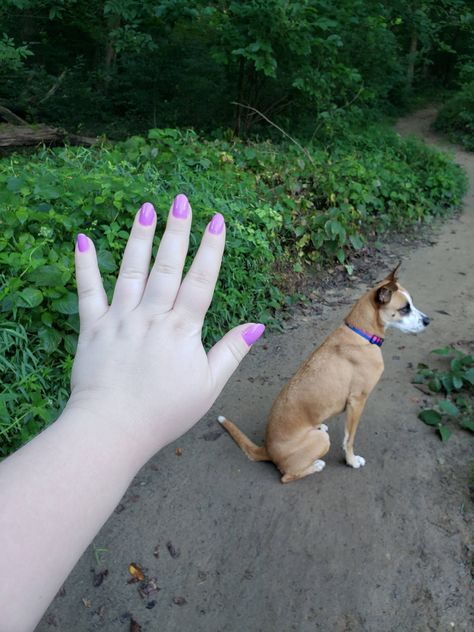 After a few months of not biting my nails I finally have the fingernails of an adult (though still with chubby sausage fingers) #nails_art  #nails #trend Sausage Fingers, Nails Trend, Nails 2020, Art Nails, Art Trends, My Nails, Nails Art, Drawing Reference, Nail Art