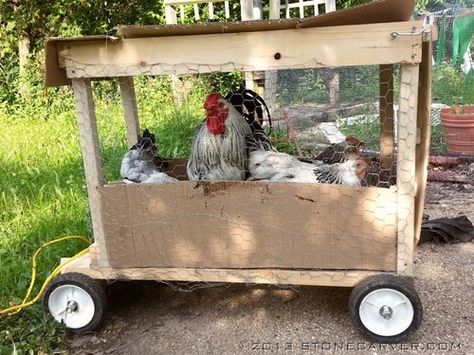 Little chicken wagon to move them from the run to the garden - BackYard Chickens Community Chicken Wagon, Haunted Garage, Chicken Cottage, How To Raise Chickens, Raise Chickens, Chicken Garden, Red Wagon, Scrap Material, Garden Backyard