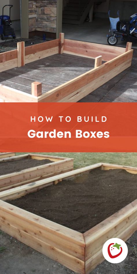 Build Garden Boxes, Garden Boxes Diy, Backyard Layout, Garden Boxes Raised, Backyard Garden Layout, Backyard Flowers, Small Space Diy, Makeup Tricks, Backyard Garden Design