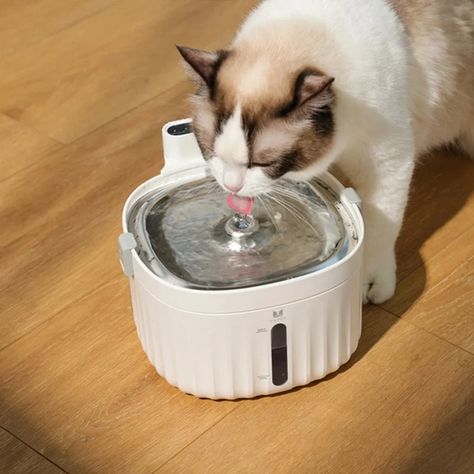 Cordless Battery Operated USB Pet Water Dispenser Fountain | Etsy Hong Kong Dog Water Dispenser, Hamster Cages, Cat Fountain, Mode Tips, Cat Water Fountain, Pet Water Fountain, Litter Tray, Cats For Sale, Cat Drinking