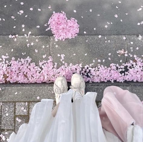 Flowers Umbrella, Pink Aesthetic Soft, Light Pink Aesthetic, Bow Outfit, Sakura Flowers, Soft Pink Theme, Korean Japanese, Sweet Bakery, Flowers Blooming