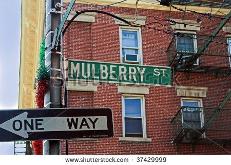 Cookie Cake Decorating Ideas, Vacation New York, Little Italy New York, Day In New York City, New York Buildings, Italy Images, New York Vacation, Italy Home, Mulberry Street