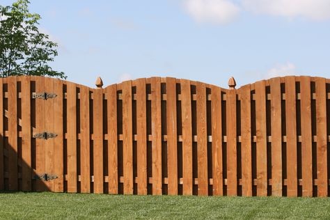 6' shadow box scalloped fence combines the robust style of the shadow box with the grace of a scallop. Shadow Box Fence Ideas, Fence Template, Scalloped Fence, Shadow Box Fence, Wood Privacy Fence, Fence Gate Design, Gate Ideas, Gate Designs, Fountains Backyard