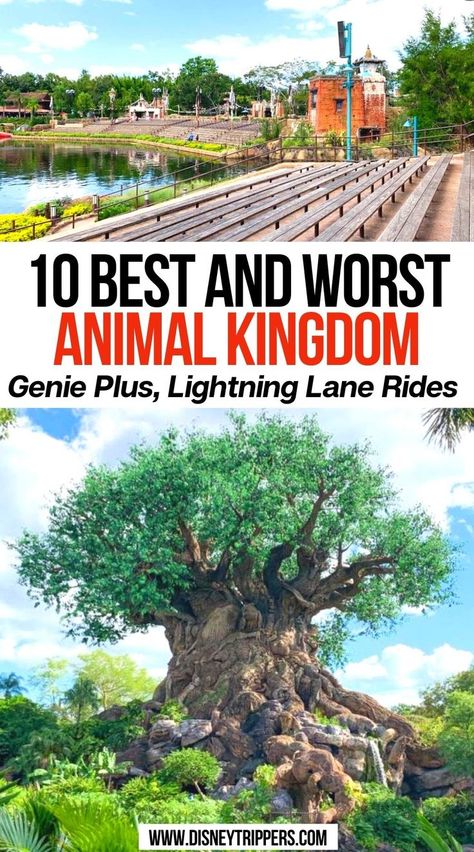 10 Best (And Worst!) Animal Kingdom Genie+ and Lightning Lane Rides Disney Genie Plus, Genie Disney, Disney Fastpass, Disney Genie, Disney Trip Surprise, Visit Usa, Travel Bucket List Usa, Disney Vacation Planning, Disney Travel