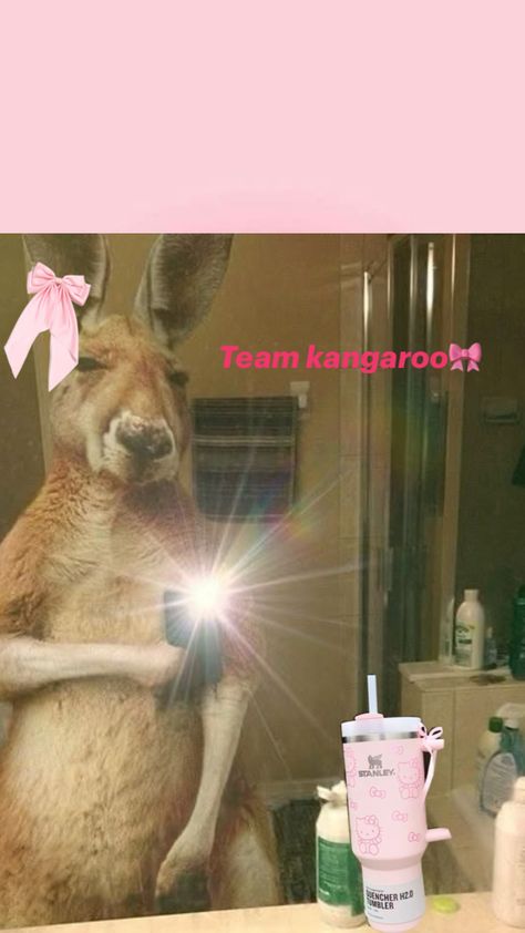 Kangaroo