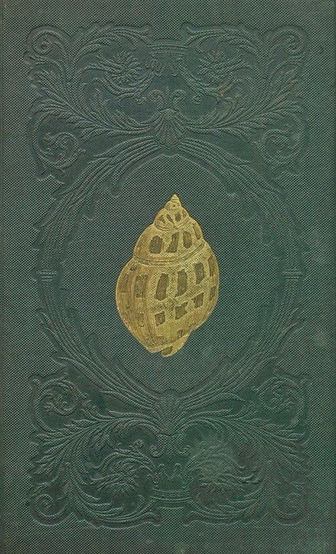 Embossed book cover with the image of a shell Mermaid Aesthetic, Vintage Book Covers, Beautiful Book Covers, Book Cover Art, Old Book, Drawing Tutorials, Old Books, Painting Illustration, Antique Books