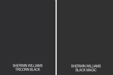 Tricorn Black Front Door, Sherman Williams Paint, Black Walls Bedroom, Painted Kitchen Island, Sherwin Williams Extra White, Darkest Black Color, Warm Paint Colors, Sherwin Williams Gray, William Black